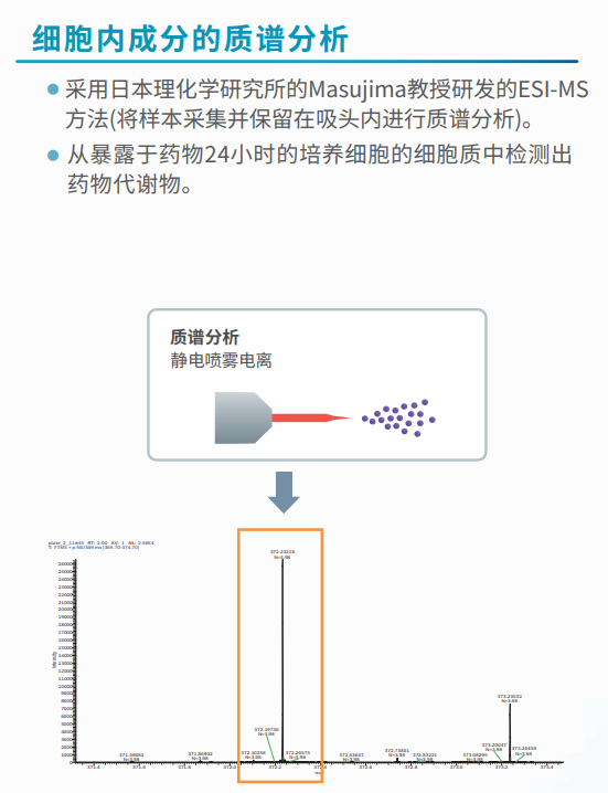 細胞內成分的質譜分析.png