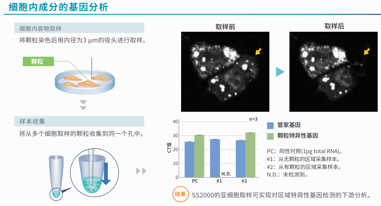 細胞內成分的基因分析.png