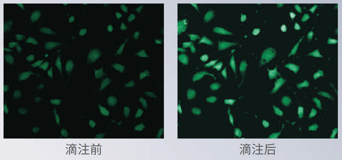 應(yīng)用2：動力學(xué)分析.png